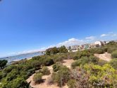 apartments torrevieja 