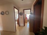 Apartmány / byty Benidorm