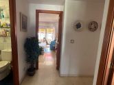 Apartmány / byty Benidorm