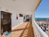 Apartamento Torrevieja Alicante