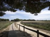 Bungalov Torrevieja