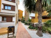 penthouse torrevieja 