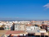 Apartamento Torrevieja Alicante