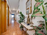 Apartamento Torrevieja Alicante