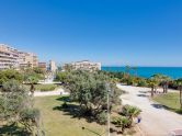 Apartamento Torrevieja Alicante