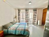 penthouse torrevieja 