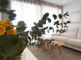 Apartmány / byty Denia