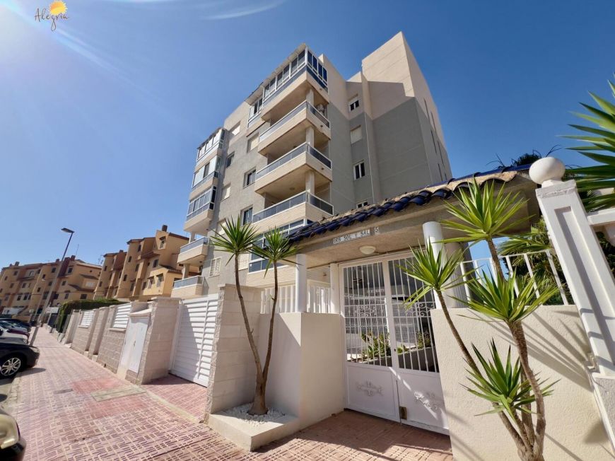 Испания apartments torrevieja 