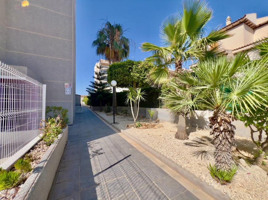 Испания apartments torrevieja 