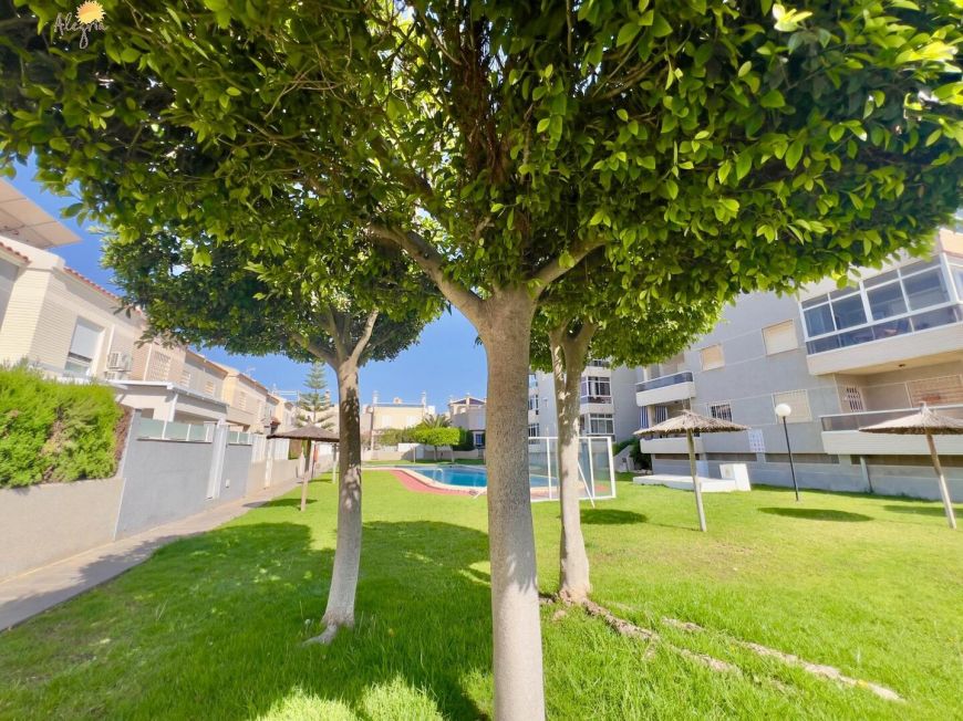 Испания apartments torrevieja 