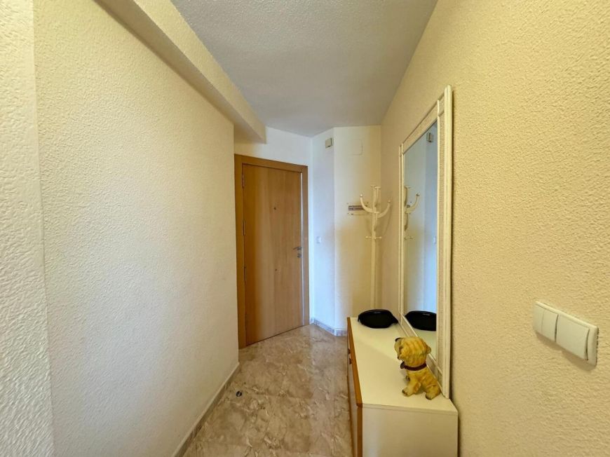 Испания apartments torrevieja 