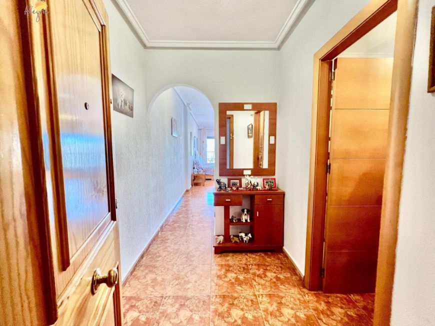 Španělsko Apartmány / byty Torrevieja