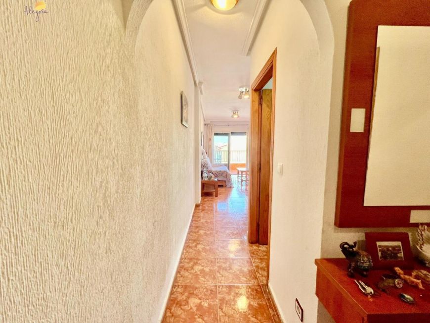 Španělsko Apartmány / byty Torrevieja