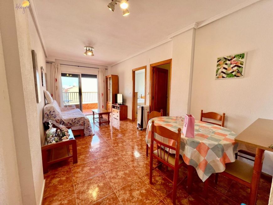 Španělsko Apartmány / byty Torrevieja