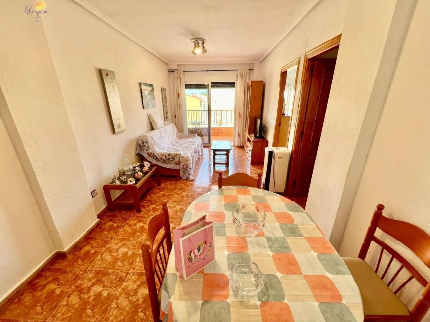 Španělsko Apartmány / byty Torrevieja