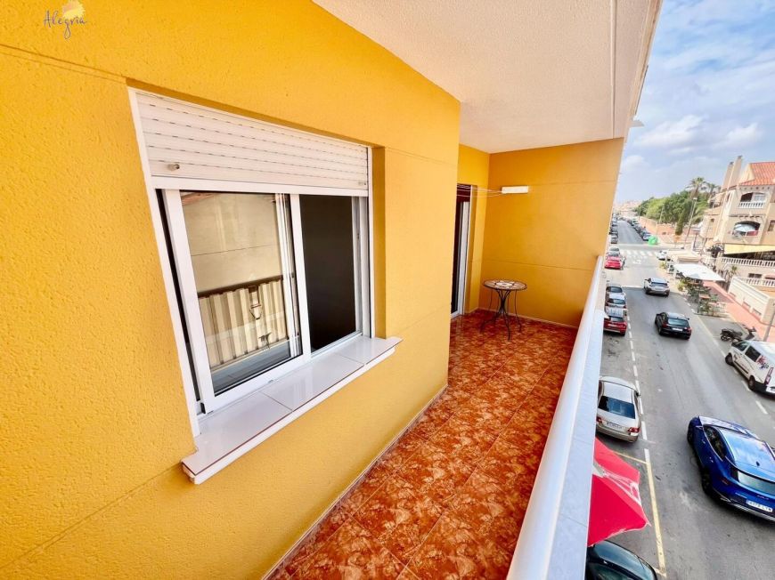 Španělsko Apartmány / byty Torrevieja