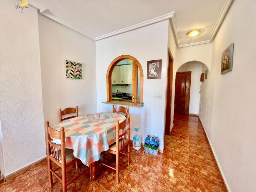 Španělsko Apartmány / byty Torrevieja