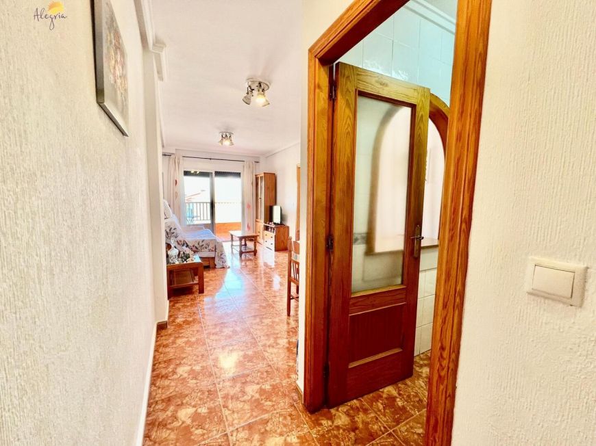 Španělsko Apartmány / byty Torrevieja