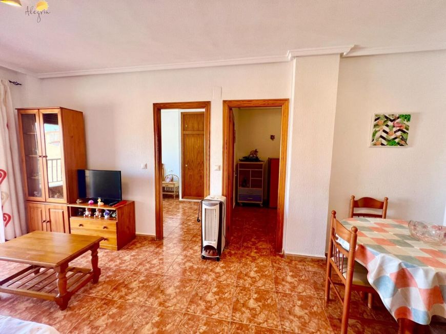 Španělsko Apartmány / byty Torrevieja