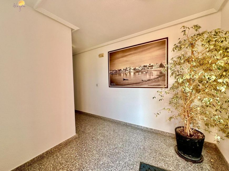 Испания apartments torrevieja 