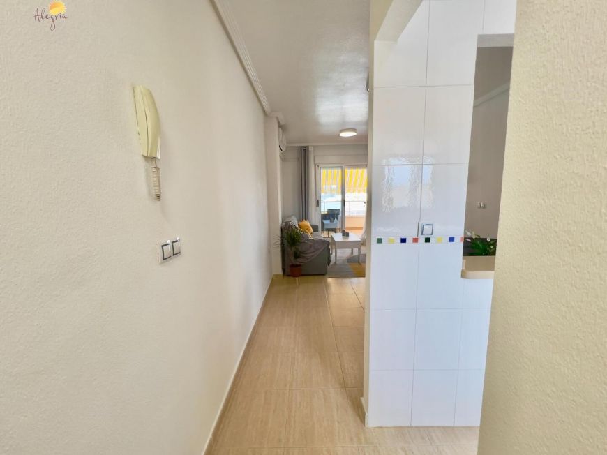 Испания apartments torrevieja 