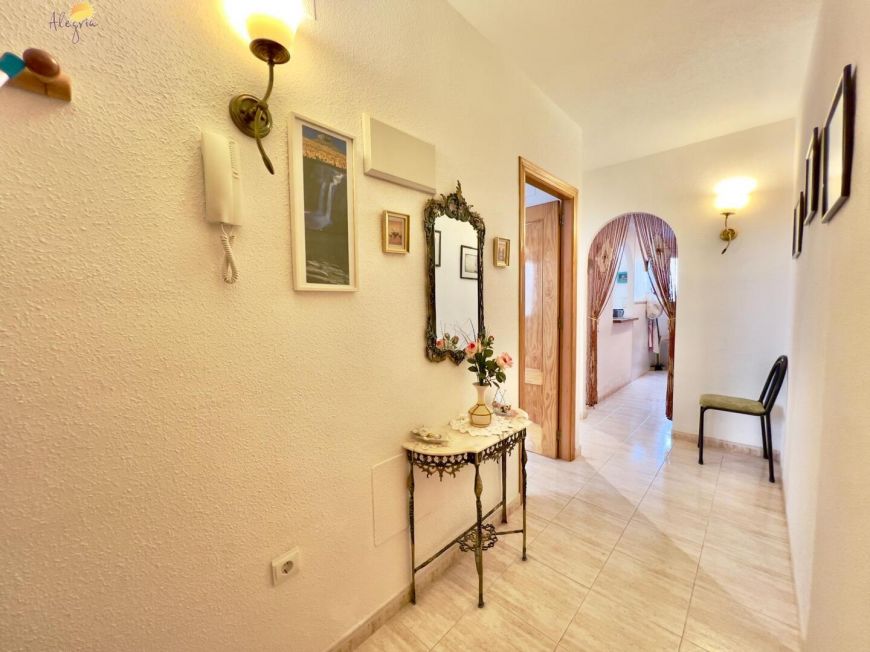 Španělsko Apartmány / byty Torrevieja