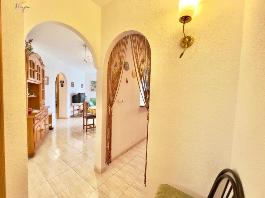 Španělsko Apartmány / byty Torrevieja