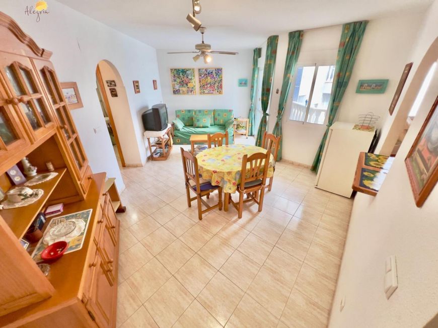 Španělsko Apartmány / byty Torrevieja