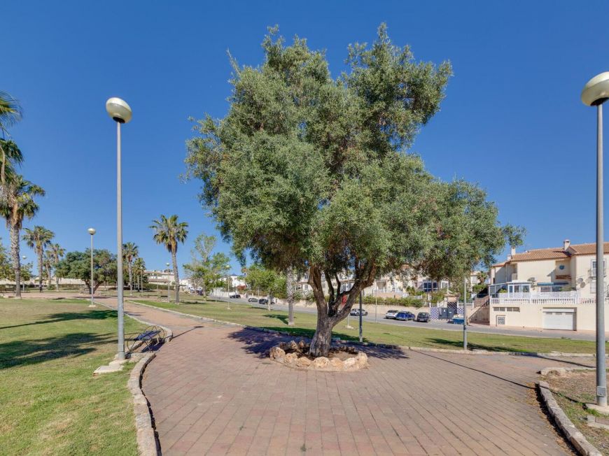 Španělsko Bungalov Torrevieja Alicante