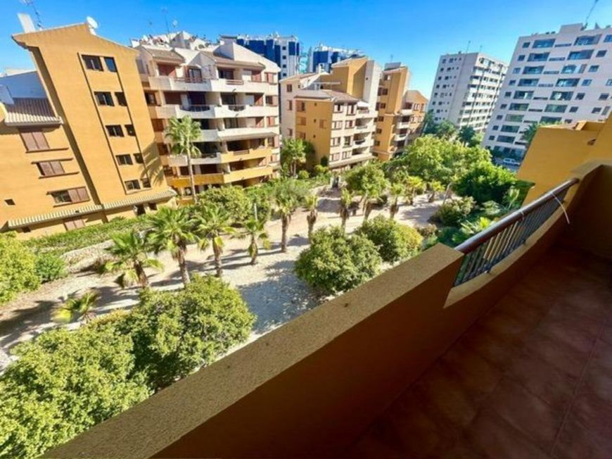 Španělsko Apartmán / byt Torrevieja ALICANTE