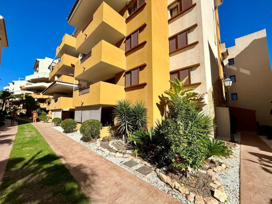 Španělsko Apartmán / byt Torrevieja ALICANTE