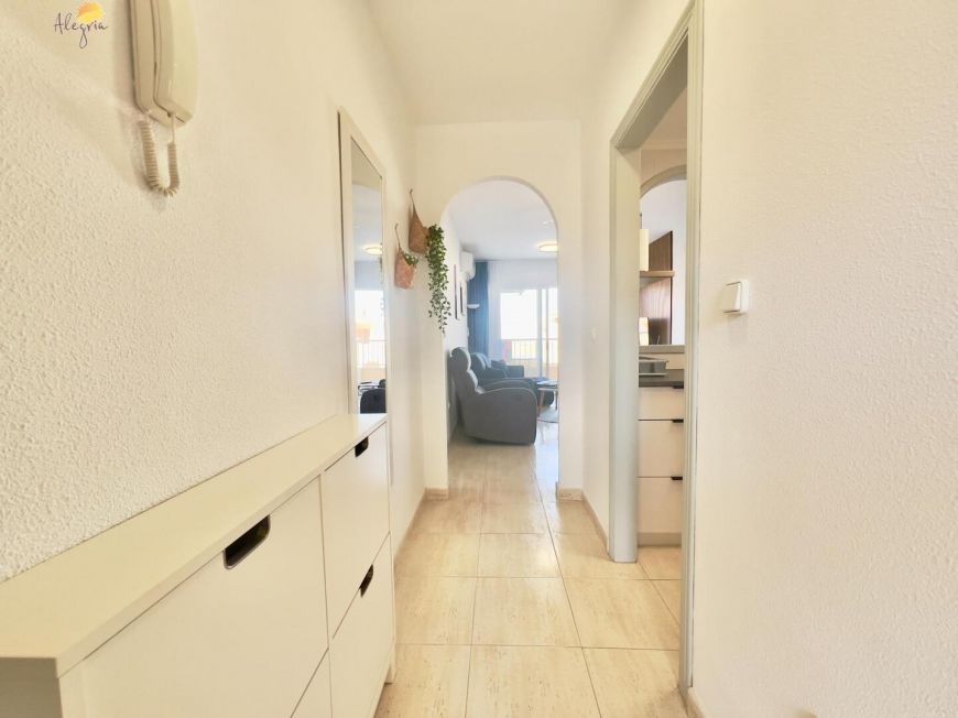 Španělsko Apartmány / byty Torrevieja