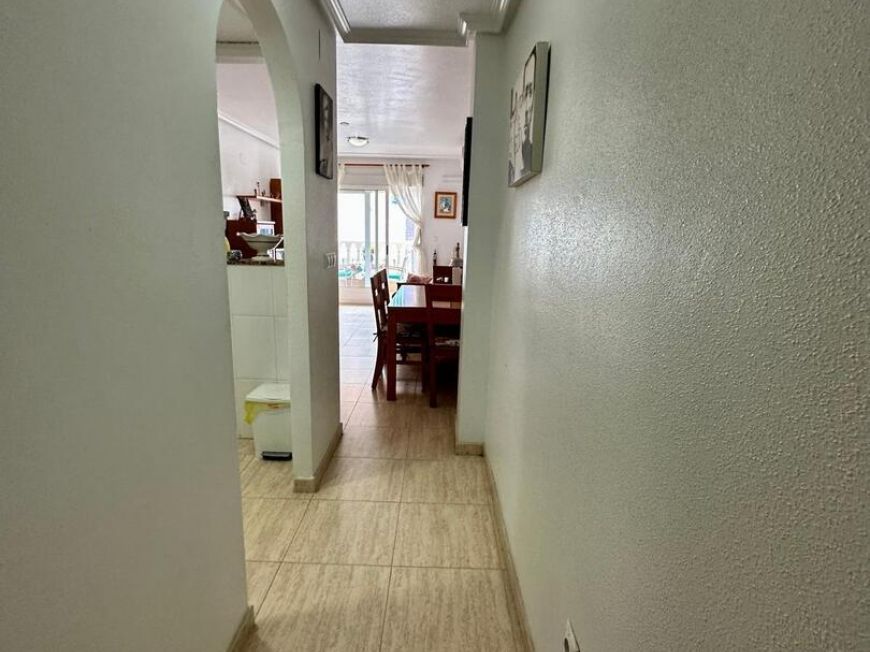 Испания apartments guardamar-del-segura 