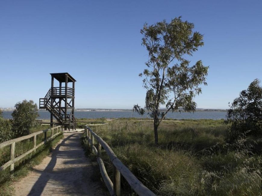 Španělsko Bungalov Torrevieja