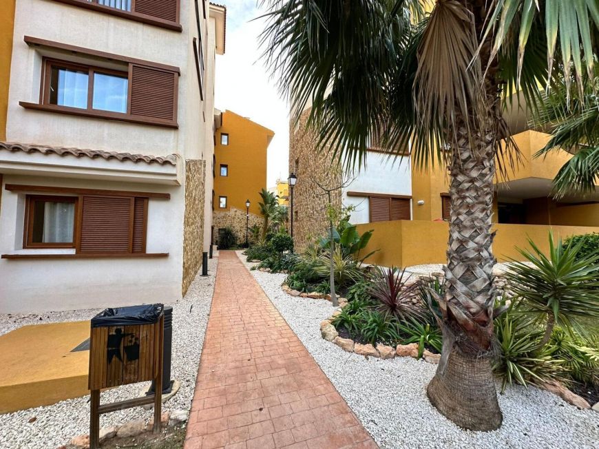 Испания penthouse torrevieja 