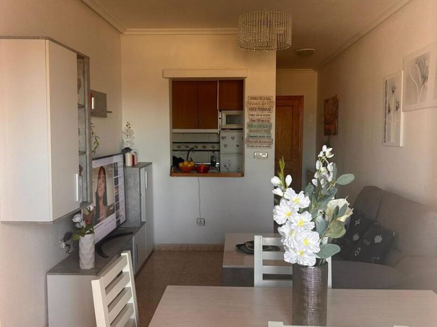 Испания apartments torrevieja 