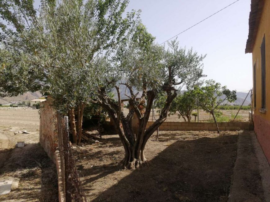 Espanha Villa Orihuela Alicante