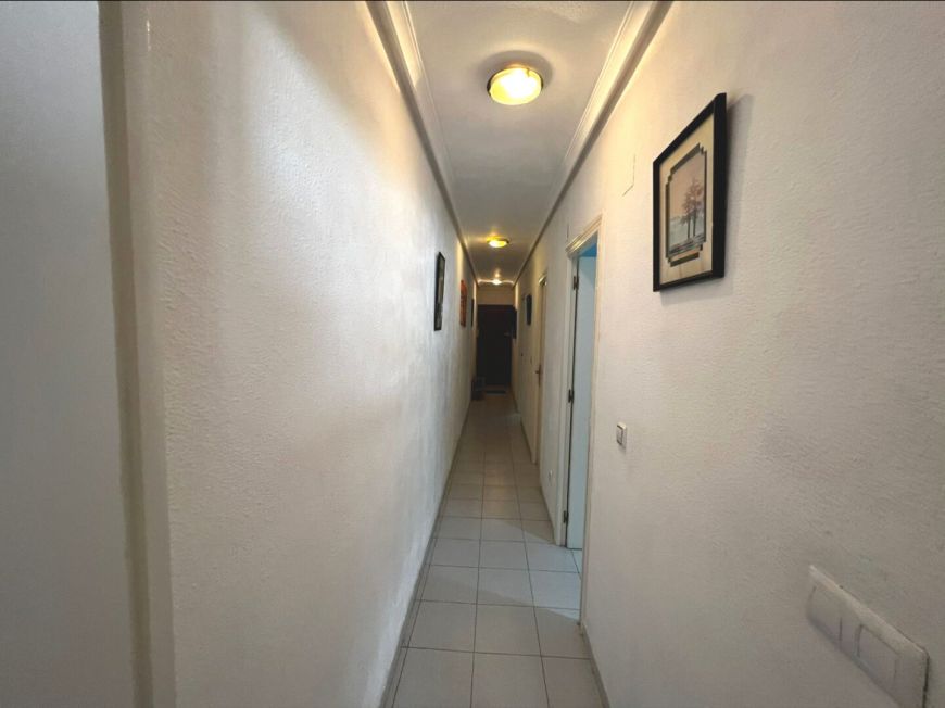 Španělsko Apartmány / byty Torrevieja