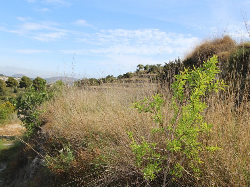 Espanha Plot Benissa Alicante