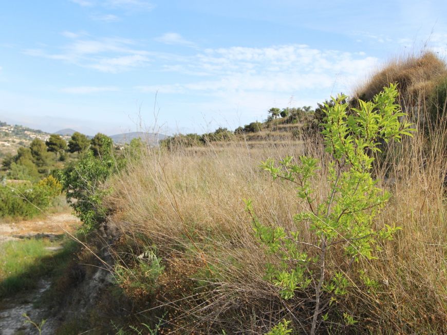 Espanha Plot Benissa Alicante