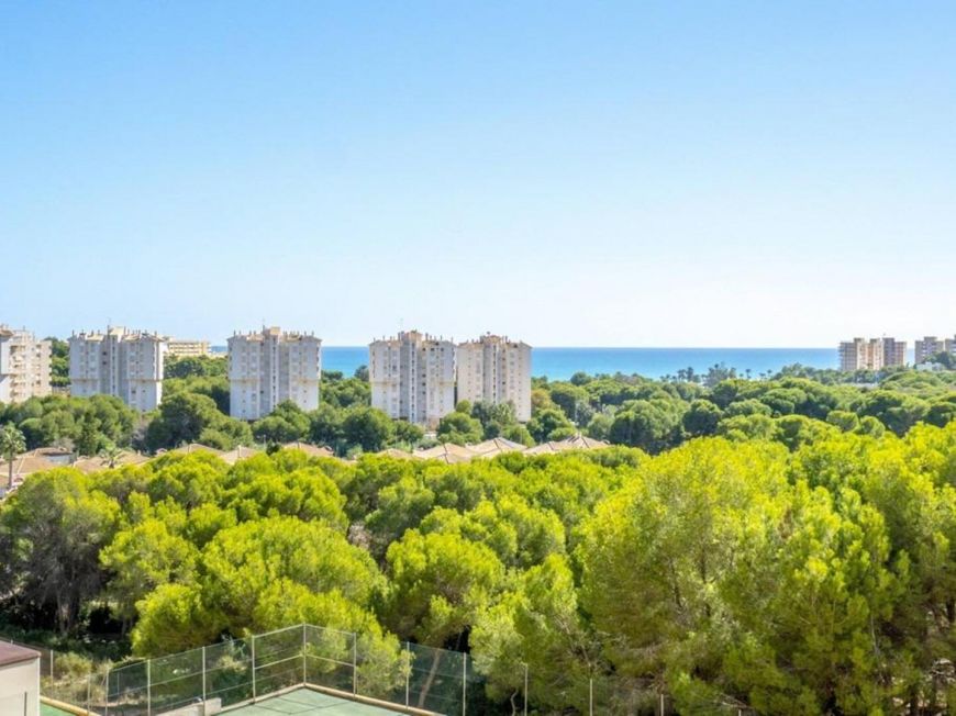 Španělsko Apartmán / byt Orihuela Costa ALICANTE