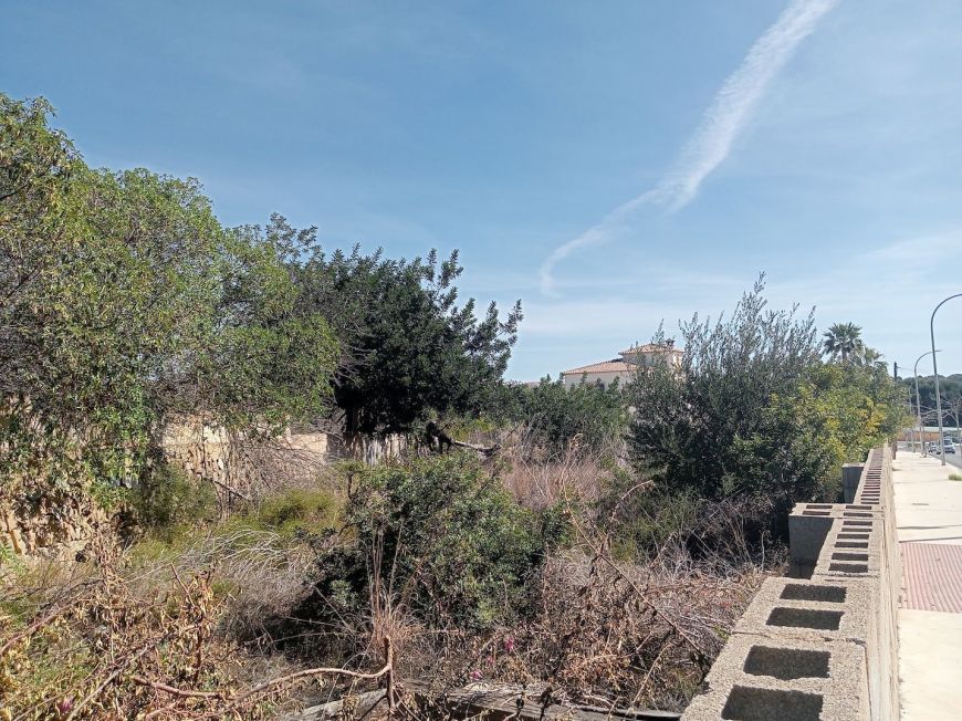 Испания Plot Calpe Alicante