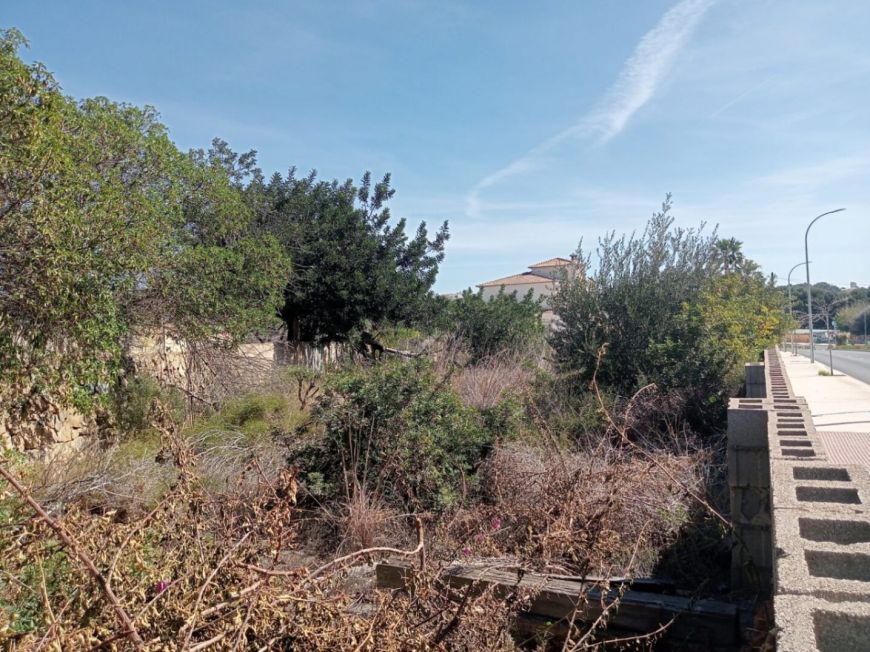 Испания Plot Calpe Alicante