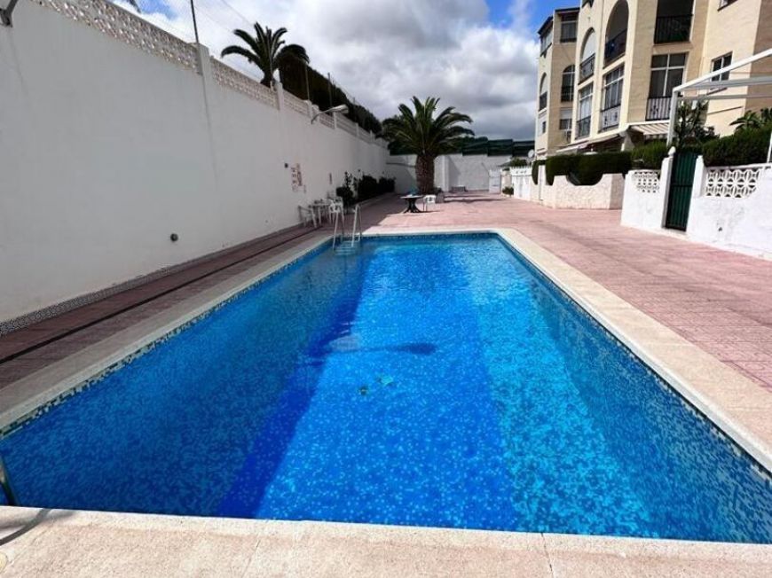 Испания apartments torrevieja 