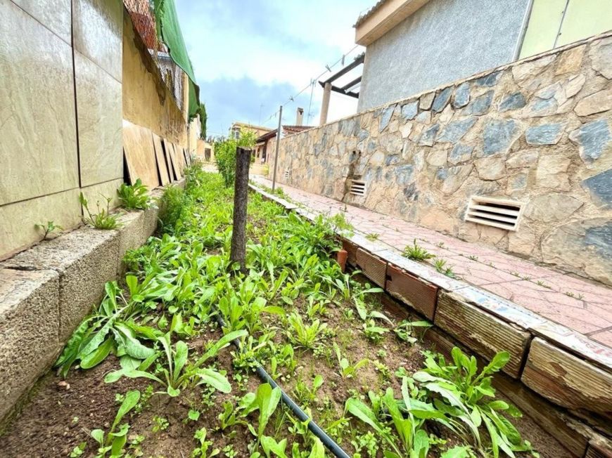 Испания houses torrevieja 