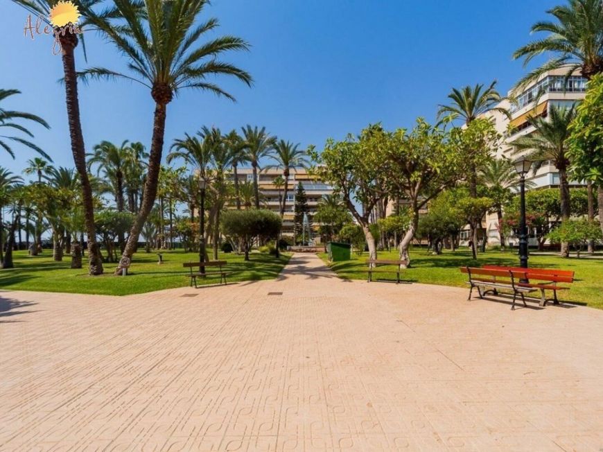 Španělsko Penthouse Torrevieja