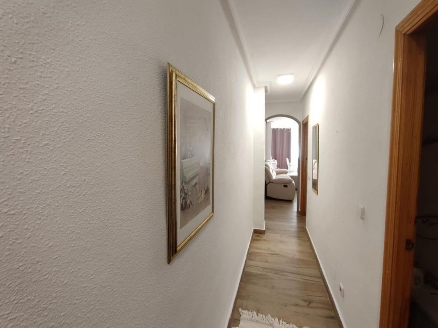 Испания apartments torrevieja 