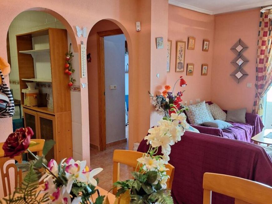 Испания apartments torrevieja 