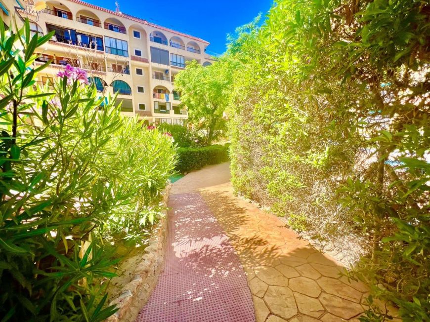 Испания apartments torrevieja 