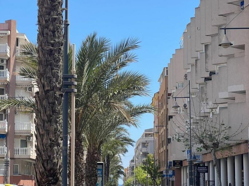 Испания apartments torrevieja 